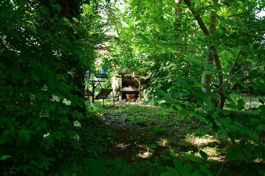 Schoene Ferienwohnung Mit Zwei Schlafzimmern Кведлінбург Екстер'єр фото