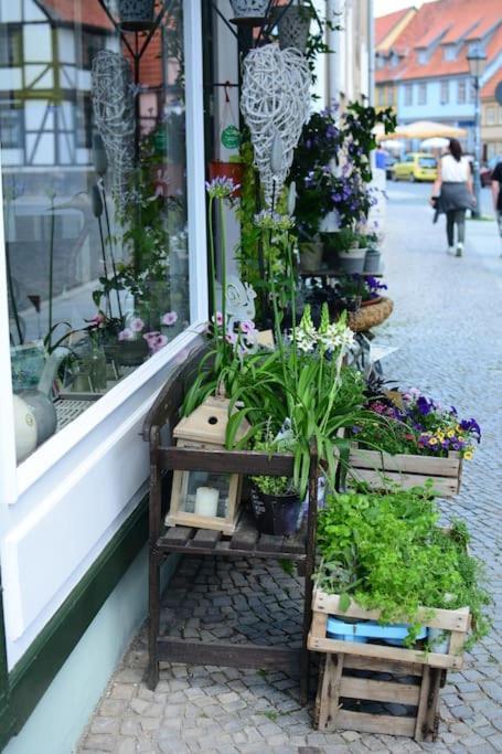 Schoene Ferienwohnung Mit Zwei Schlafzimmern Кведлінбург Екстер'єр фото